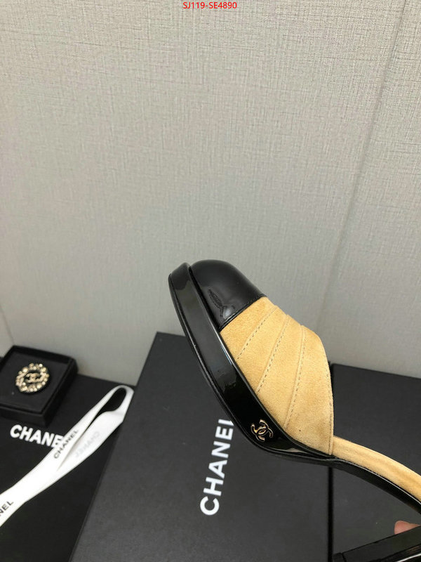 Women Shoes-Chanel,how to buy replica shop , ID: SE4890,$: 119USD