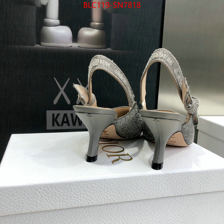 Women Shoes-Dior,aaaaa+ quality replica , ID: SN7818,$: 119USD