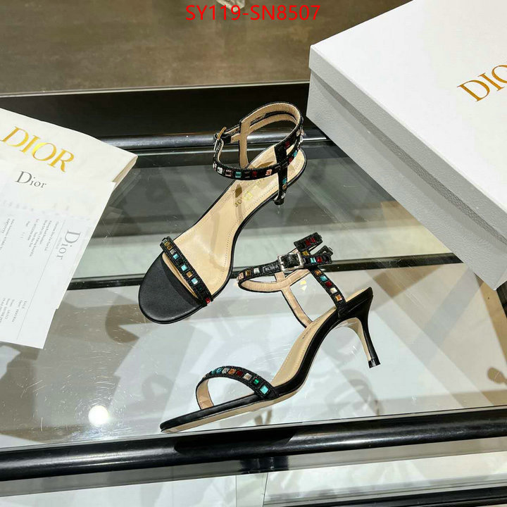 Women Shoes-Dior,new 2023 , ID: SN8507,$: 119USD