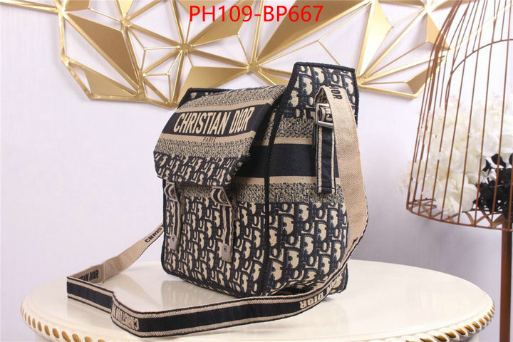 Dior Bags(4A)-Other Style-,ID: BP667,$: 109USD