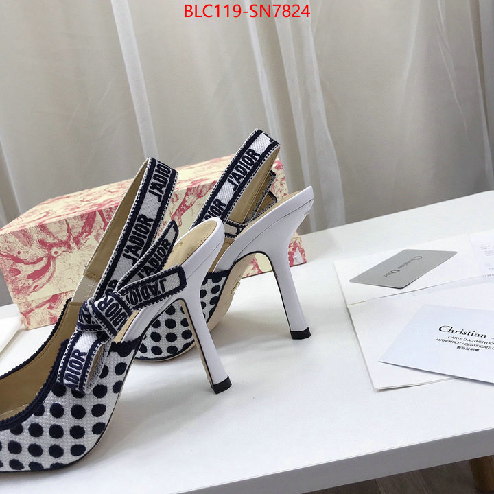 Women Shoes-Dior,online from china designer , ID: SN7824,$: 119USD
