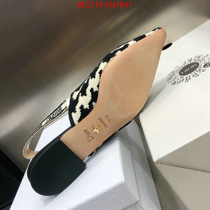 Women Shoes-Dior,outlet 1:1 replica , ID: SN7841,$: 119USD