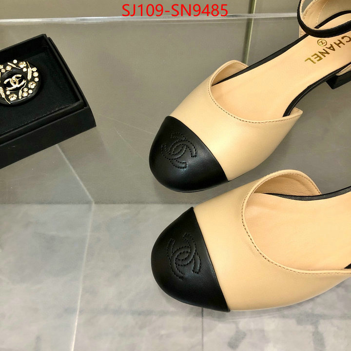 Women Shoes-Chanel,perfect replica , ID: SN9485,$: 109USD