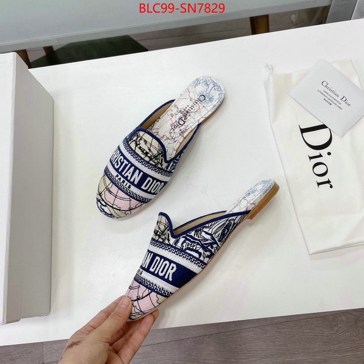 Women Shoes-Dior,website to buy replica , ID: SN7829,$: 99USD