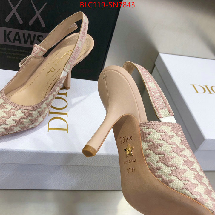 Women Shoes-Dior,we curate the best , ID: SN7843,$: 119USD