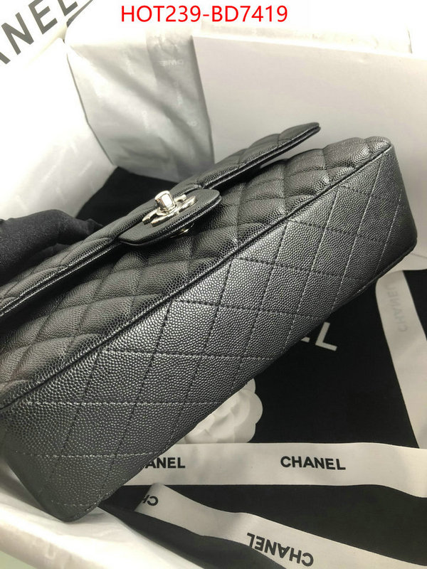 Chanel Bags(TOP)-Diagonal-,ID: BD7419,$: 239USD