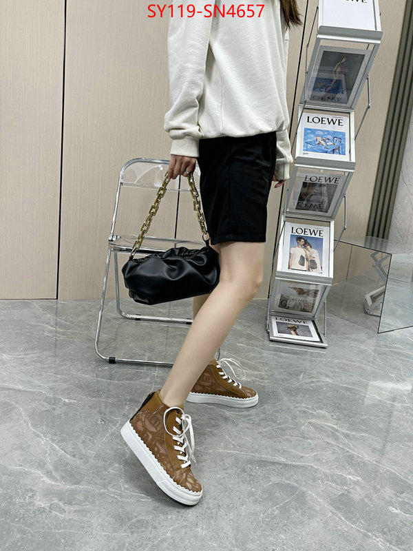 Women Shoes-Chloe,designer fake , ID: SN4657,$: 119USD