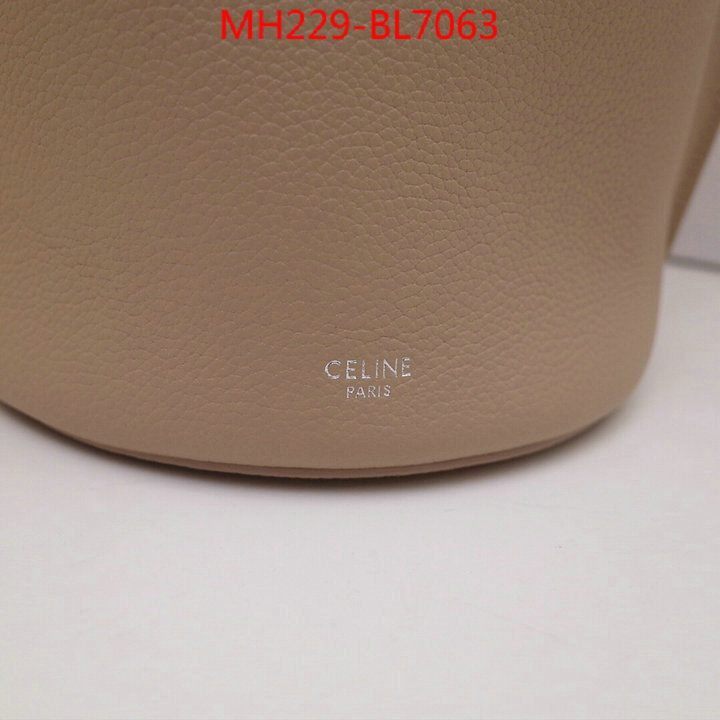 CELINE Bags(TOP)-Handbag,best capucines replica ,ID: BL7063,$: 229USD