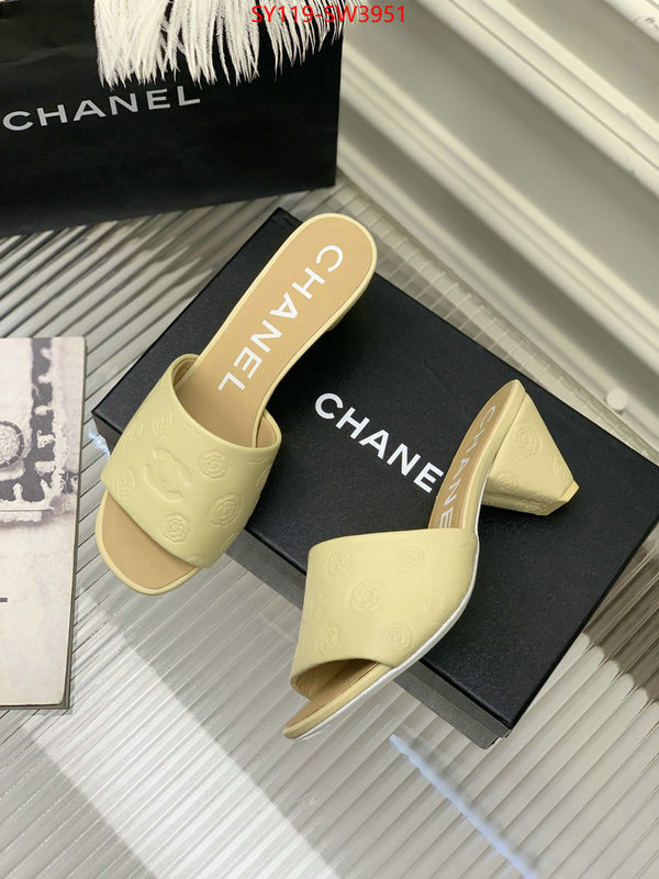 Women Shoes-Chanel,best site for replica , ID: SW3951,$: 119USD