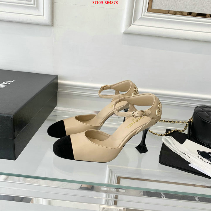 Women Shoes-Chanel,how to buy replica shop , ID: SE4873,$: 109USD