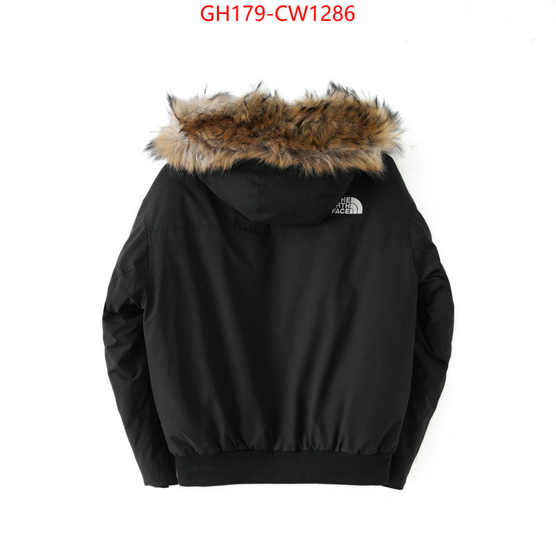 Down jacket Men-The North Face,the quality replica , ID: CW1286,$: 179USD