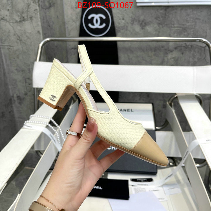 Women Shoes-Chanel,brand designer replica , ID: SO1067,$: 109USD