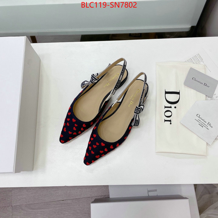 Women Shoes-Dior,high end designer , ID: SN7802,$: 119USD