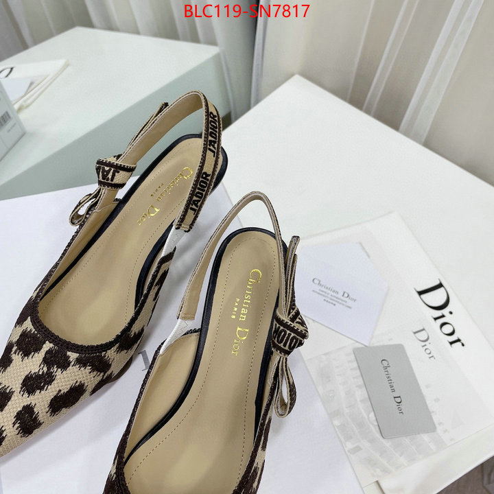 Women Shoes-Dior,top quality fake , ID: SN7817,$: 119USD