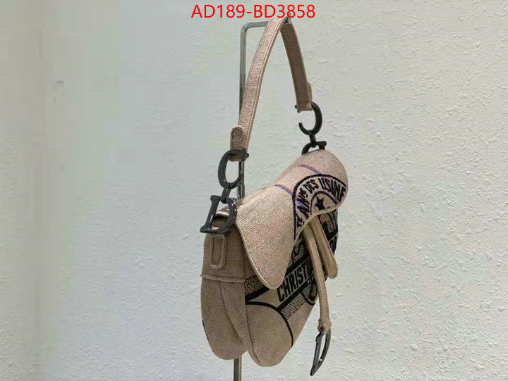 Dior Bags(TOP)-Saddle-,ID: BD3858,$: 189USD