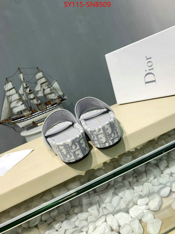 Women Shoes-Dior,sell online , ID: SN8509,$: 115USD