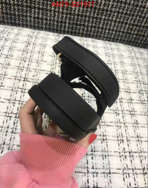 Women Shoes-Chanel,fake designer , ID: SD1917,$: 79USD