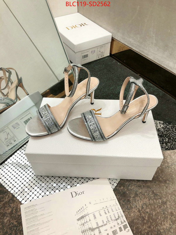 Women Shoes-Dior,first copy , ID: SD2562,$: 119USD