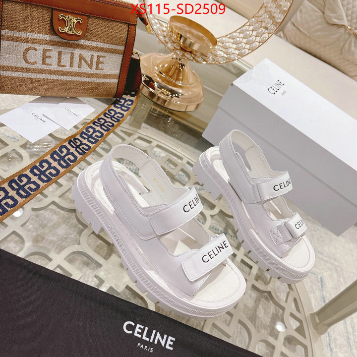 Women Shoes-CELINE,top quality designer replica , ID: SD2509,$: 115USD