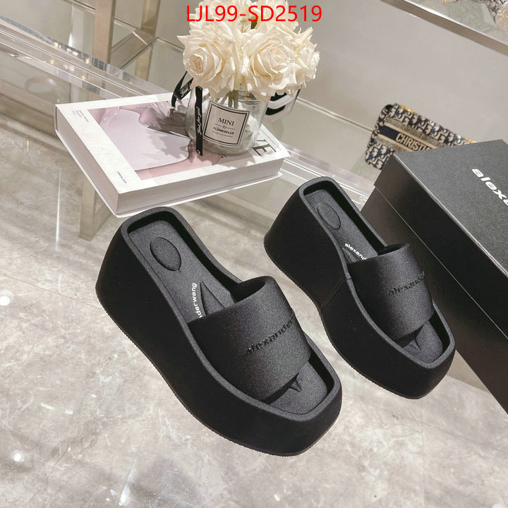 Women Shoes-Alexander Wang,sell high quality , ID: SD2519,$: 99USD