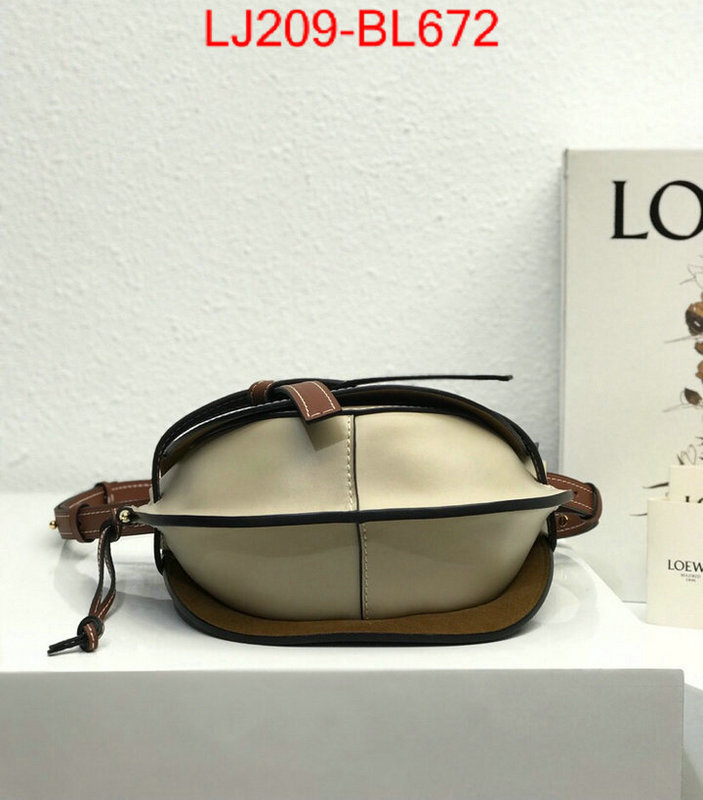 Loewe Bags(TOP)-Diagonal-,the best ,ID: BL672,$:209USD