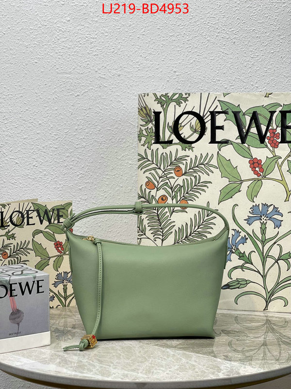 Loewe Bags(TOP)-Cubi,we provide top cheap aaaaa ,ID: BD4953,$: 219USD