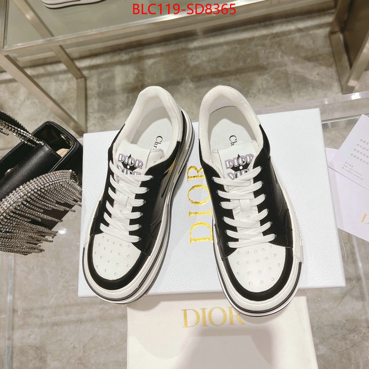 Women Shoes-Dior,buy high quality fake , ID: SD8365,$: 119USD