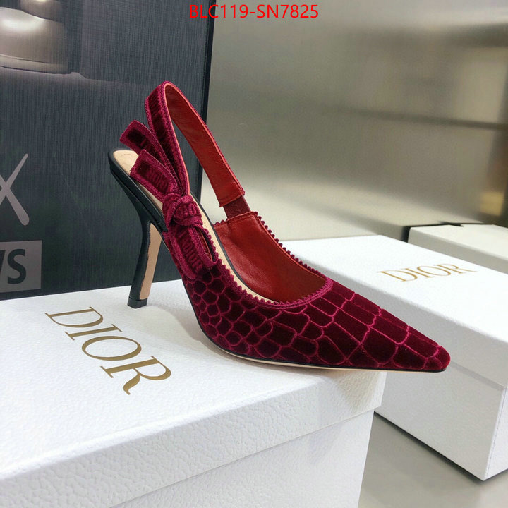 Women Shoes-Dior,buy 1:1 , ID: SN7825,$: 119USD