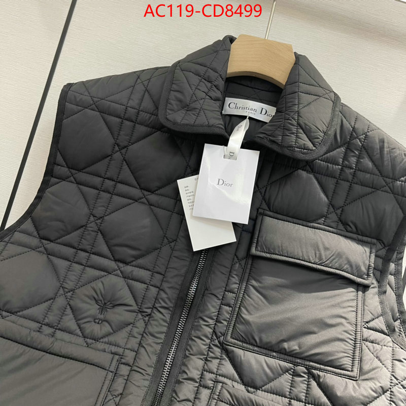 Down jacket Women-Dior,china sale , ID: CD8499,$: 119USD