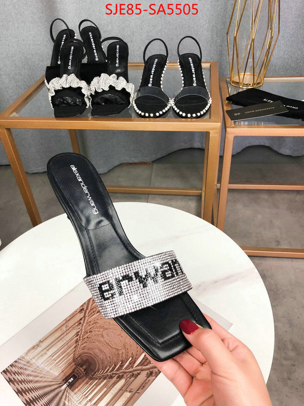 Women Shoes-Alexander Wang,where to find the best replicas , ID: SA5505,$: 85USD