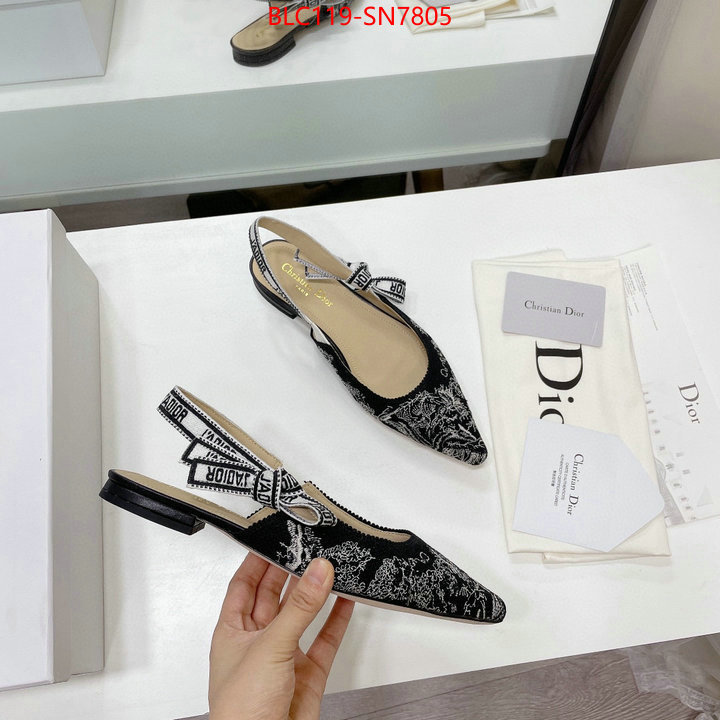 Women Shoes-Dior,the top ultimate knockoff , ID: SN7805,$: 119USD