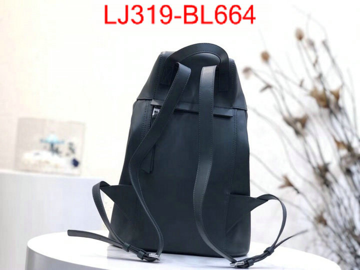 Loewe Bags(TOP)-Backpack-,top quality replica ,ID: BL664,$:319USD