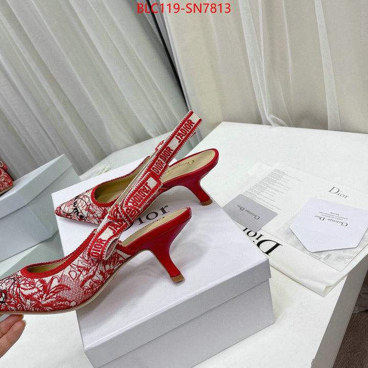 Women Shoes-Dior,designer wholesale replica , ID: SN7813,$: 119USD