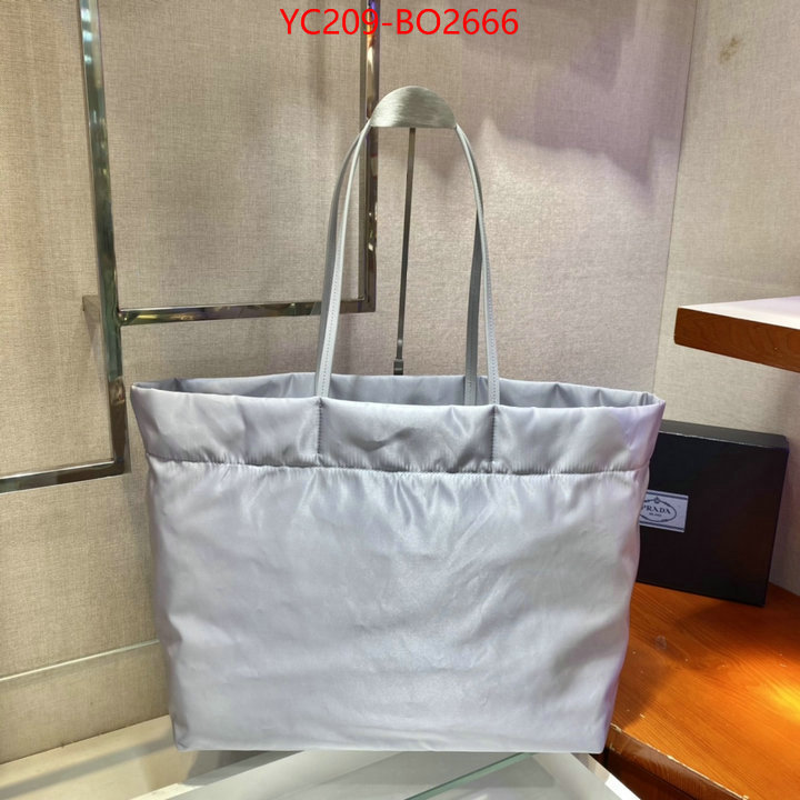 Prada Bags(TOP)-Handbag-,ID: BO2666,$: 209USD