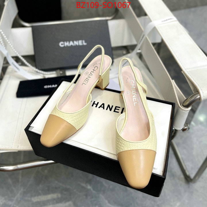 Women Shoes-Chanel,brand designer replica , ID: SO1067,$: 109USD