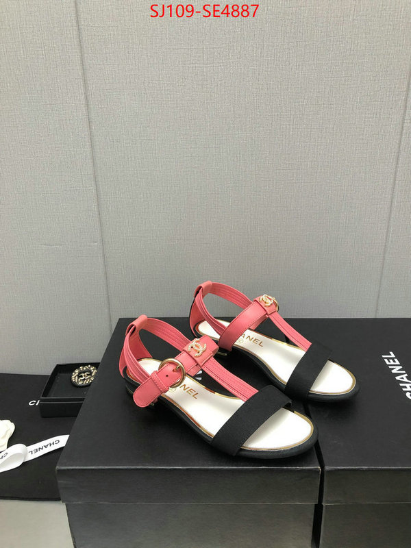 Women Shoes-Chanel,store , ID: SE4887,$: 109USD