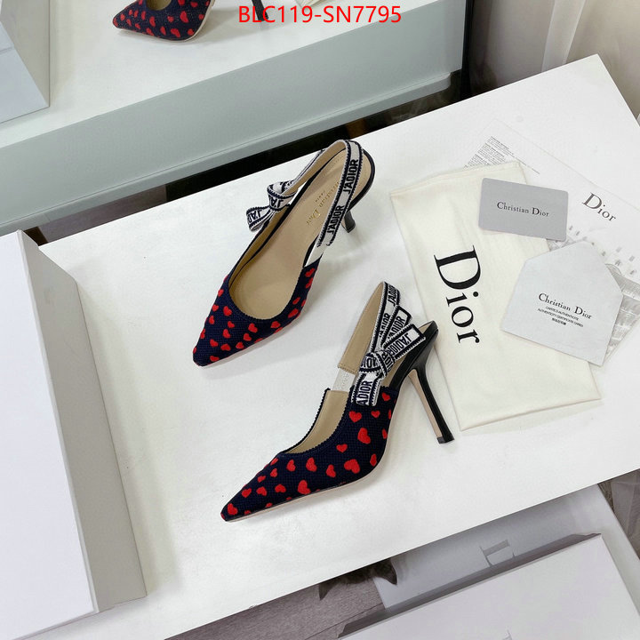 Women Shoes-Dior,what best replica sellers , ID: SN7795,$: 119USD