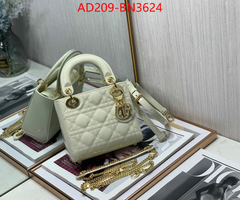 Dior Bags(TOP)-Lady-,ID: BN3624,$: 209USD