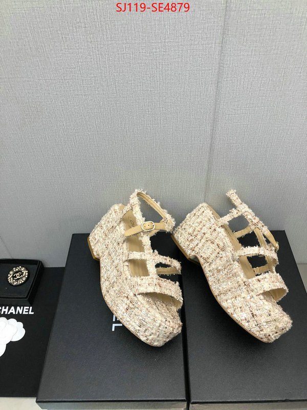 Women Shoes-Chanel,cheap replica designer , ID: SE4879,$: 119USD