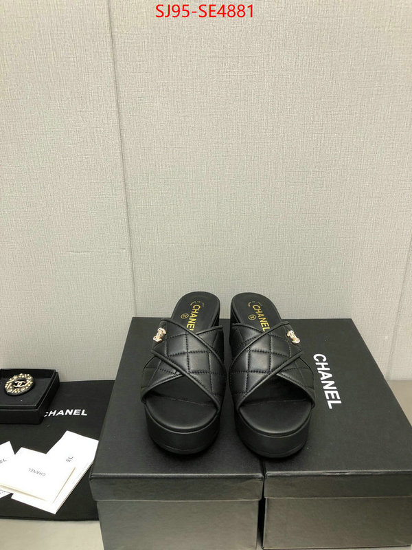 Women Shoes-Chanel,what's the best to buy replica , ID: SE4881,$: 95USD