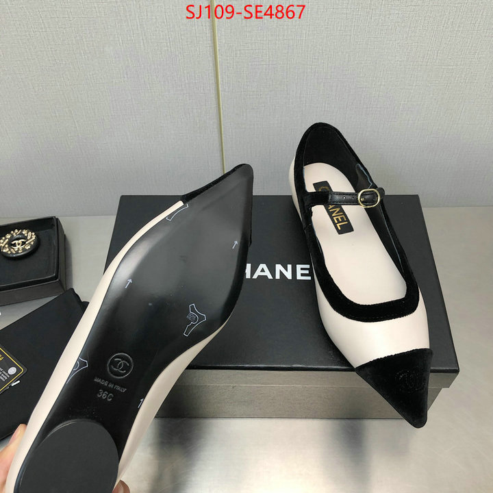 Women Shoes-Chanel,high-end designer , ID: SE4867,$: 109USD