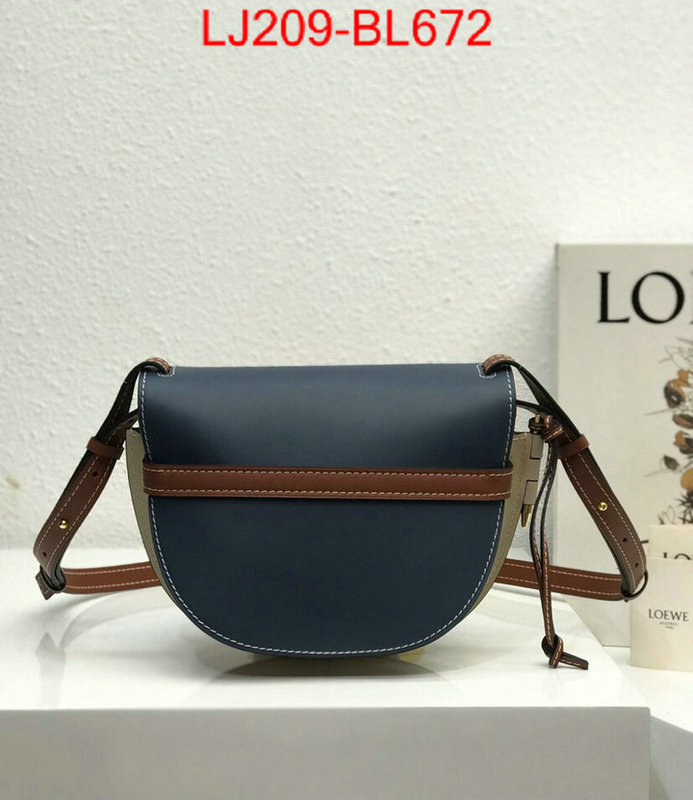 Loewe Bags(TOP)-Diagonal-,the best ,ID: BL672,$:209USD