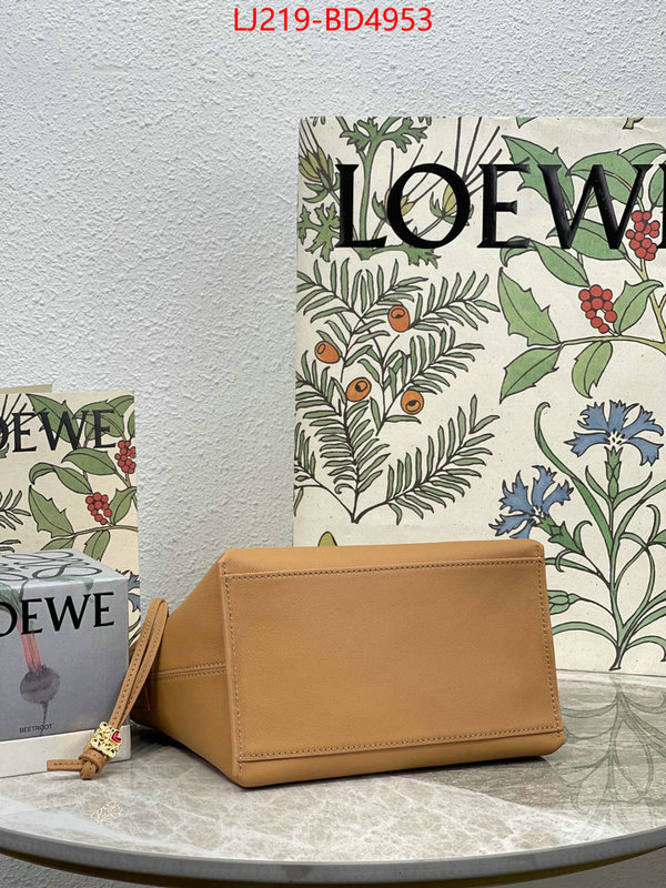 Loewe Bags(TOP)-Cubi,we provide top cheap aaaaa ,ID: BD4953,$: 219USD