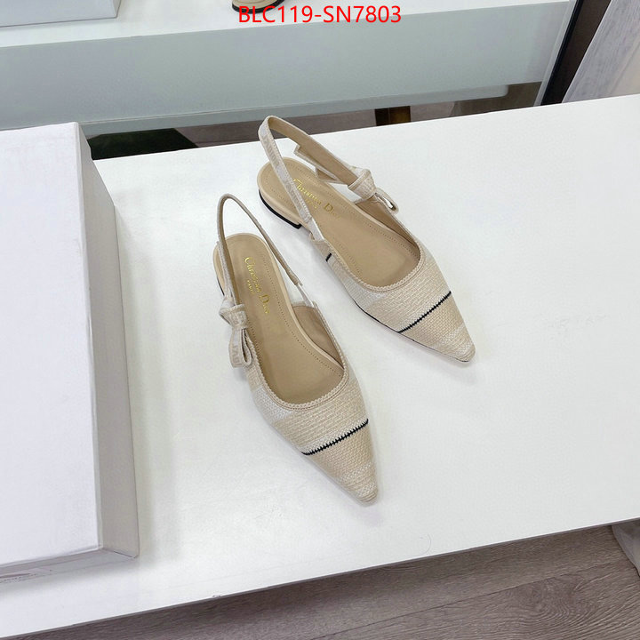 Women Shoes-Dior,replica designer , ID: SN7803,$: 119USD