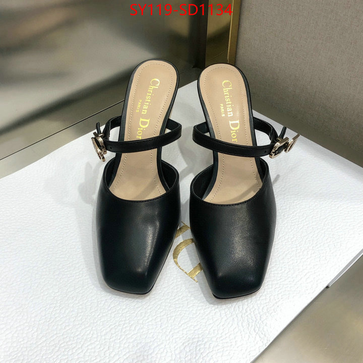 Women Shoes-Dior,shop , ID: SD1134,$: 119USD