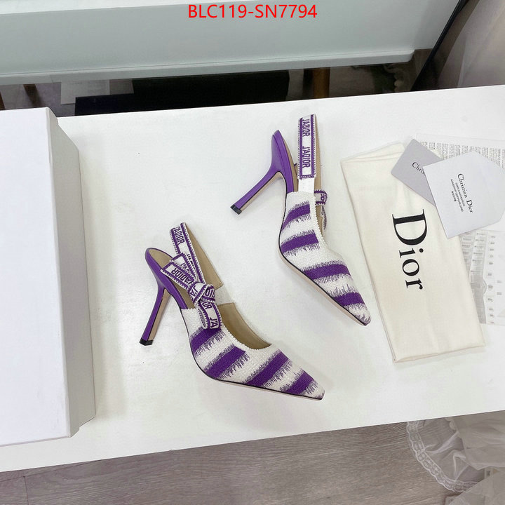 Women Shoes-Dior,online store , ID: SN7794,$: 119USD