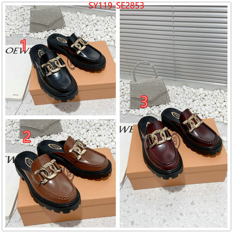 Women Shoes-Tods,top fake designer ,high quality replica designer , ID: SE2853,$: 119USD