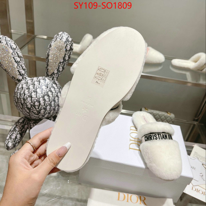 Women Shoes-Dior,how can i find replica , ID: SO1809,$: 109USD