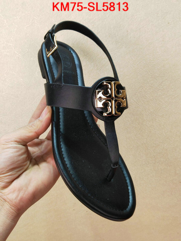 Women Shoes-Tory Burch,aaaaa+ replica , ID: SL5813,$: 75USD