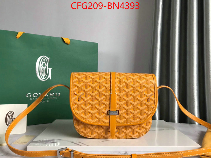 Goyard Bags(TOP)-Diagonal-,ID: BN4393,$: 209USD